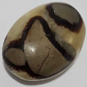 Septarian Palm Stone